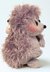 Homeward Bound Hedgehog Choc Orange Cosy