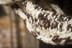 Milkweed Cowl