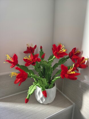 Crochet Christmas Cactus