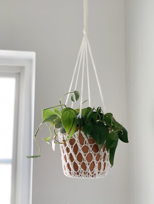 Bloom Hanging Basket