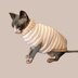 Dog sweater  “Creme stripes”
