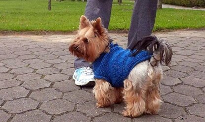 Cute Dog Sweater (4 sizes)