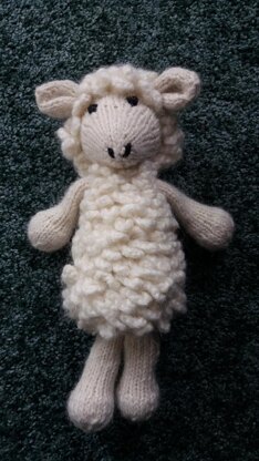 Sheep or lamb