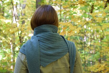 1-2-3 Chickadee Shawl