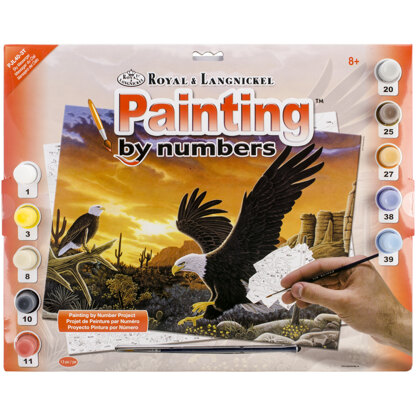 Royal Brush Junior Large Paint By Number Kit 15.25"X11.25" - Sky Messenger