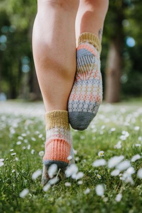 Freshness Socks