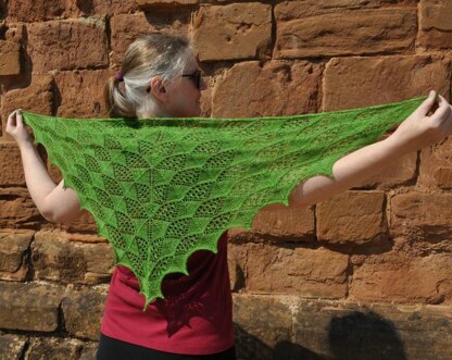 Cascadia Shawl