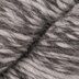 Zebra (1701)