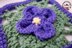 Shy Violet Afghan Square