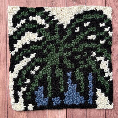 Spider Plant C2C Square