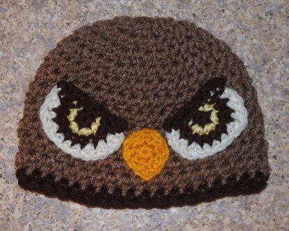 Hawk/Falcon Hat