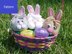 Easter Bunny Goody Bag