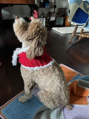 Christmas Dog Scarf