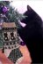 Kitty Christmas Stocking