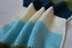 #11 Baby DK Blanket