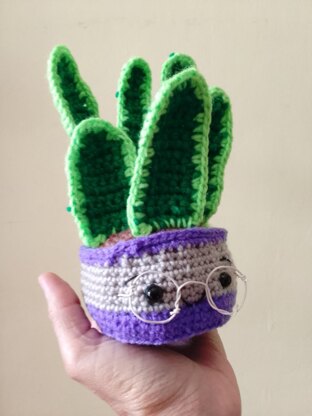 Sansevieria amigurumi