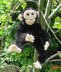 My Pet Baby Chimpanzee