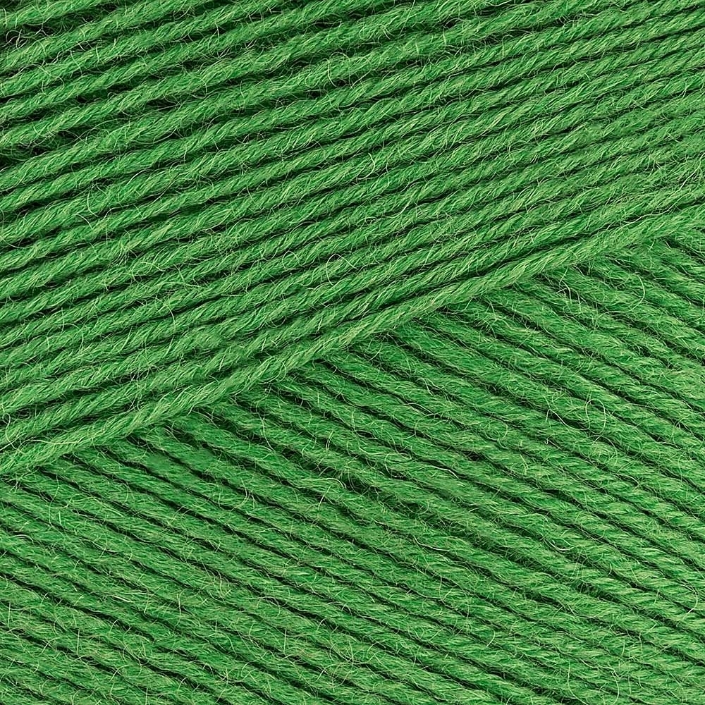 Chocolate Lime (395)