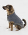 Blue Sky Fibers Bird Island Dog Sweater PDF