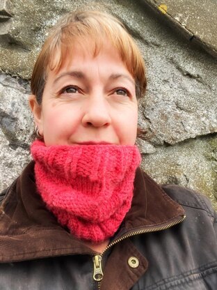 Checkers Cowl for Beginners