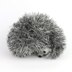 Shy hedgehog