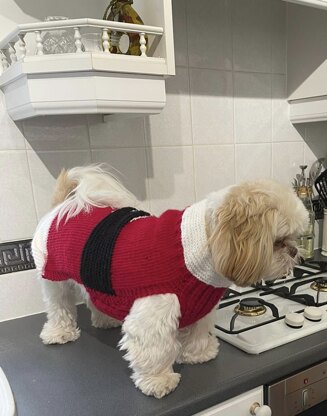 Christmas dog sweater for Benji