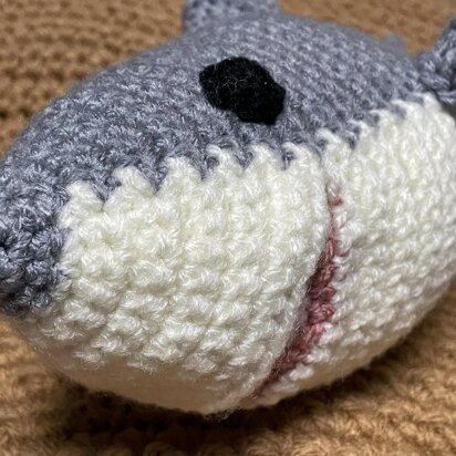 Sea Creatures Great White Shark