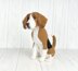 Beagle Dog