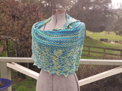 Moody Daisy Shawl