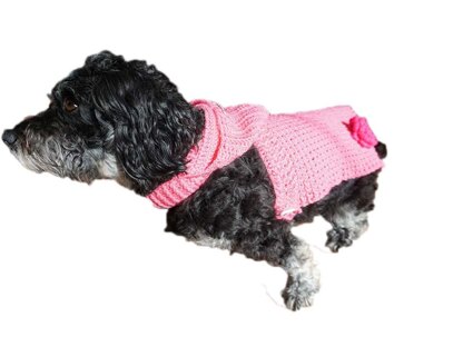 Häkelanleitung Hundemantel mit niedlicher Kapuze