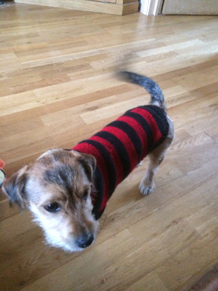 Dennis the menace inspired dog sweater