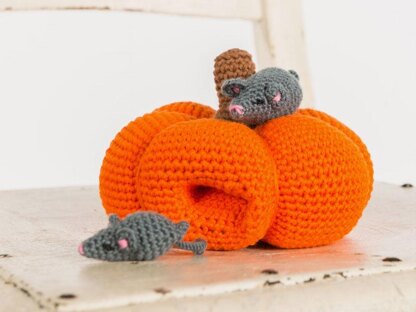 Pumpkin and mice