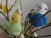 Crochet Pattern Budgie´s Jamie & Flocke!