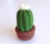 Cactus in a pot crochet , Cactus Amigurumi,