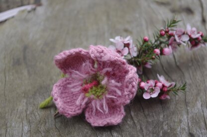 Leptospermum (tea tree)