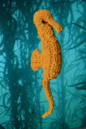 Seahorse