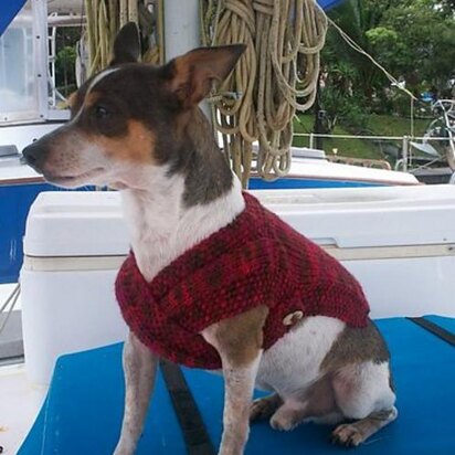 The Admiral's Dog Sweater