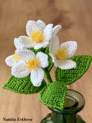 Jasmine
