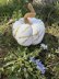 Crochet Pumpkin with glitter