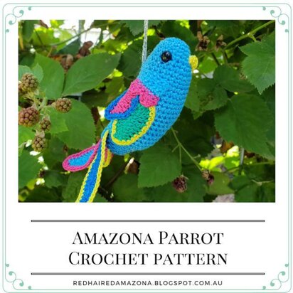 Amazona Parrot