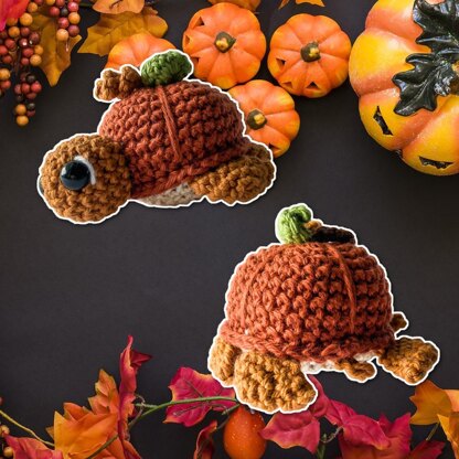 Fruit Turtle Series | Pumpkin