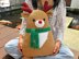 Christmas Pillow Reindeer
