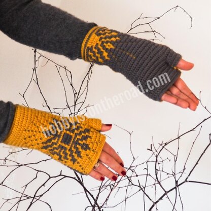Baltic Sun Fingerless Gloves & Bonus Earwarmer