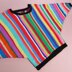 Earn Your Stripes Stashbuster