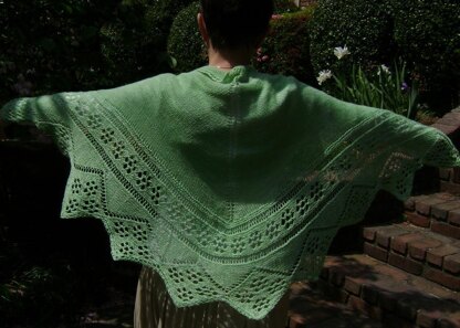 Pistachio Lace-Edged Shawl