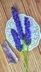 Lavender bouquet easy