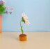Daisy Flower