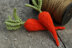 100 Flowers to Knit and Crochet