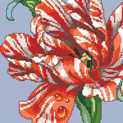 Striped Parrot Tulip Big Stitch - PDF