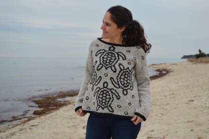 Sea Turtles Pullover